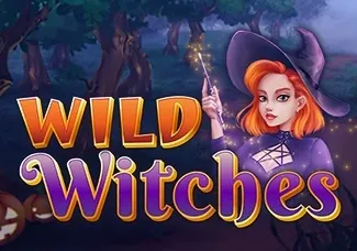 Wild Witches game screenshot